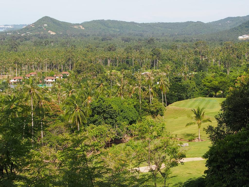 Harry'S Bungalows Mae Nam Exterior photo